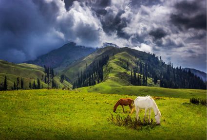 Famous Naran Kaghan Tour From  Islamabad