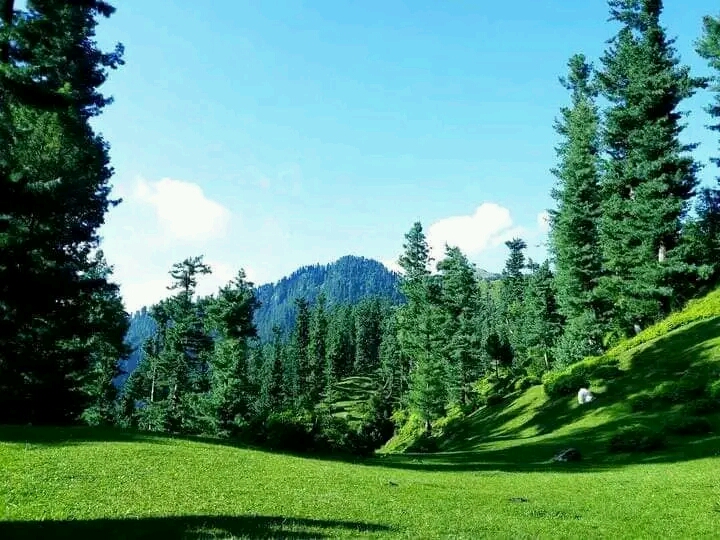 Famree Resort Hunza Tour From Islamabad